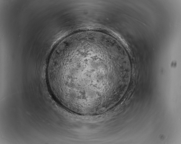X0000098230010200805011309
