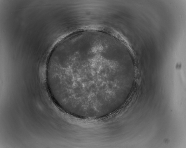 X0000098230012200805011309