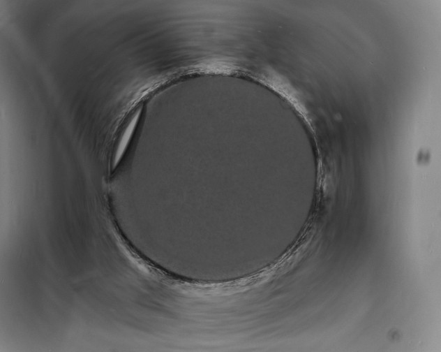 X0000098230013200805011309