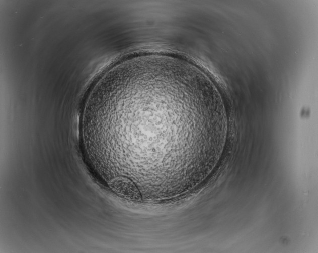 X0000098230014200805011309