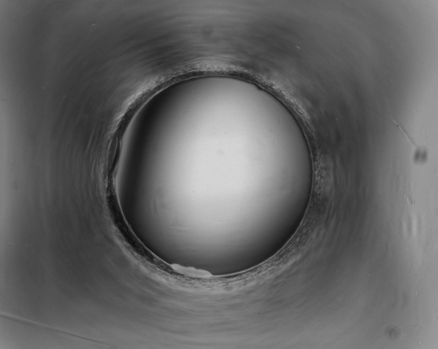 X0000098230015200805011309