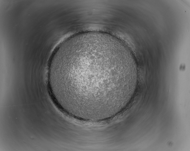 X0000098230016200805011309