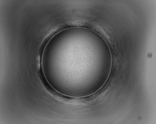 X0000098230020200805011309