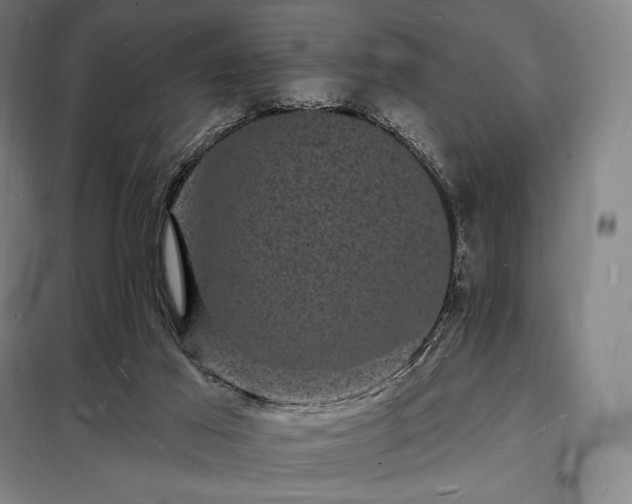 X0000098230021200805011309
