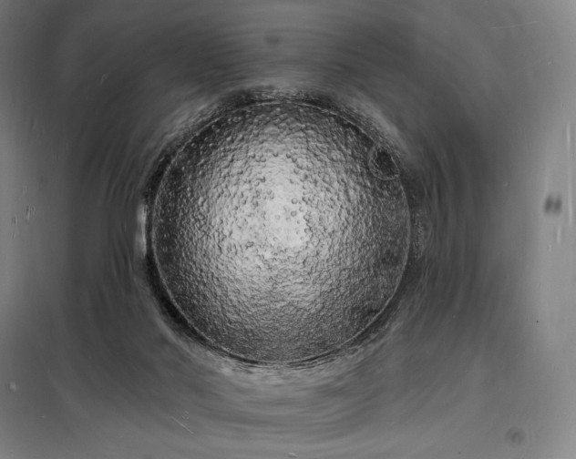 X0000098230022200805011309