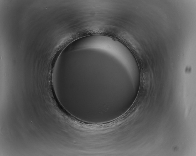 X0000098230023200805011309
