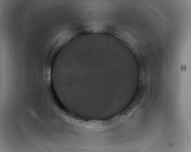 X0000098230024200805011309