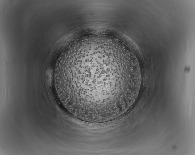 X0000098230026200805011309
