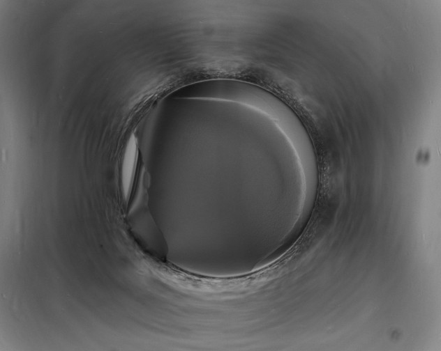 X0000098230027200805011309