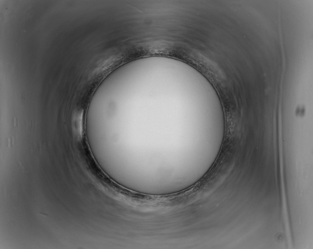 X0000098230028200805011309