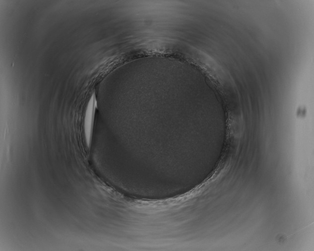 X0000098230029200805011309