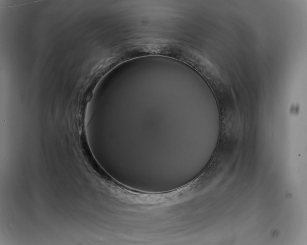X0000098230031200805011309