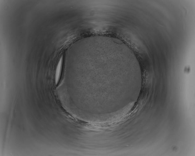X0000098230033200805011308