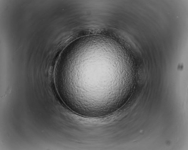 X0000098230034200805011308