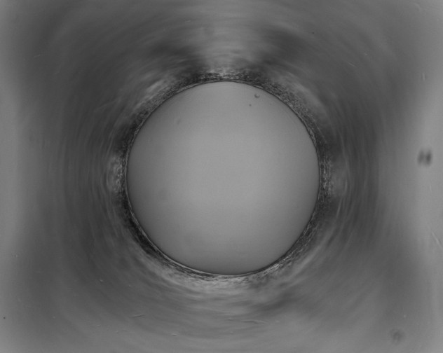X0000098230036200805011308
