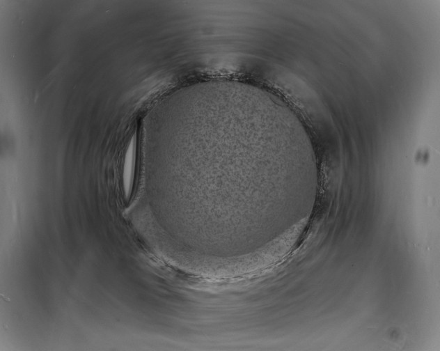 X0000098230037200805011308