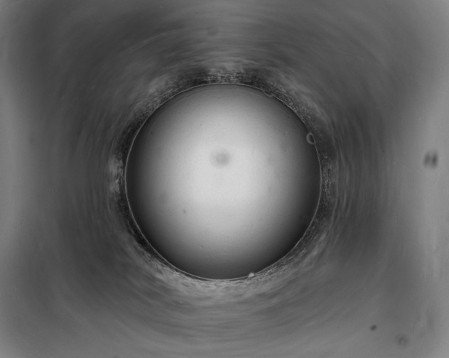 X0000098230038200805011308