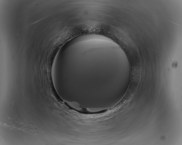 X0000098230039200805011308