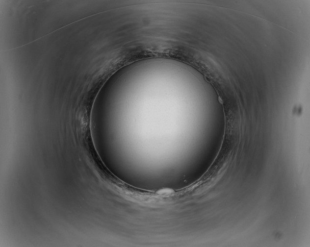 X0000098230040200805011308