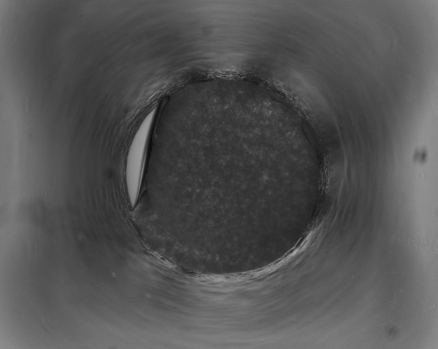 X0000098230041200805011308