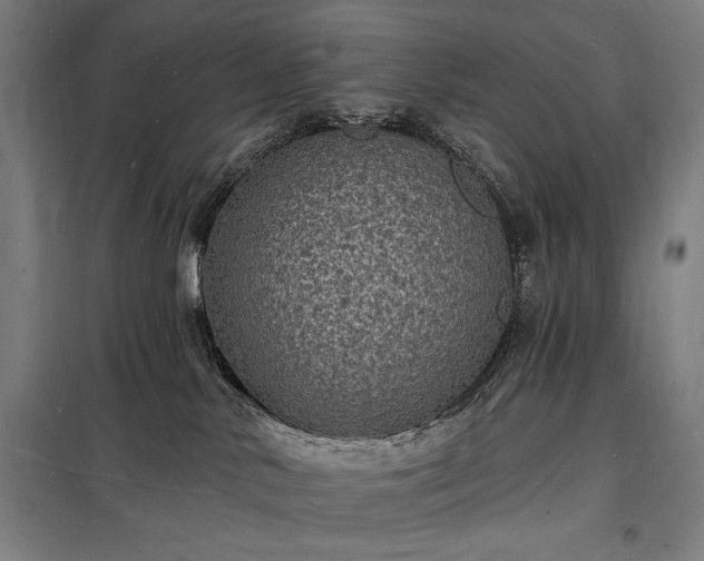 X0000098230042200805011308