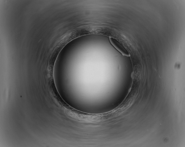 X0000098230044200805011308