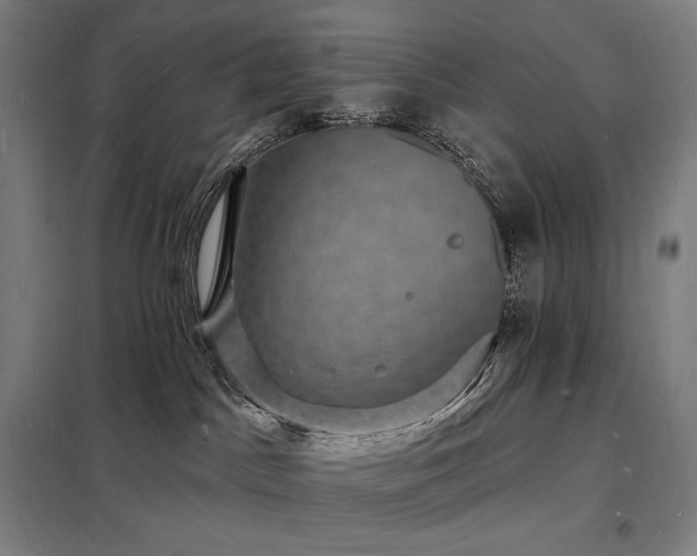 X0000098230045200805011308