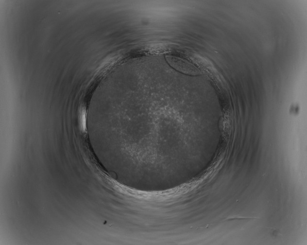X0000098230046200805011308