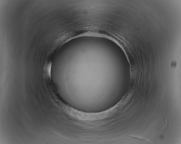 X0000098230047200805011308