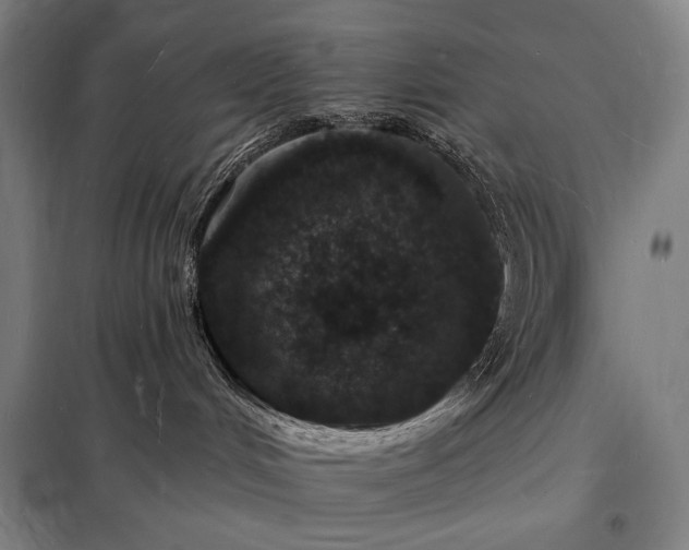 X0000098230048200805011308