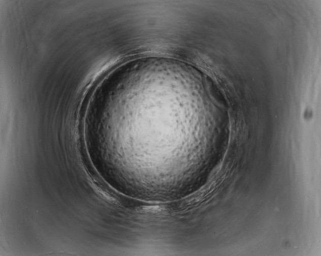 X0000098230050200805011307
