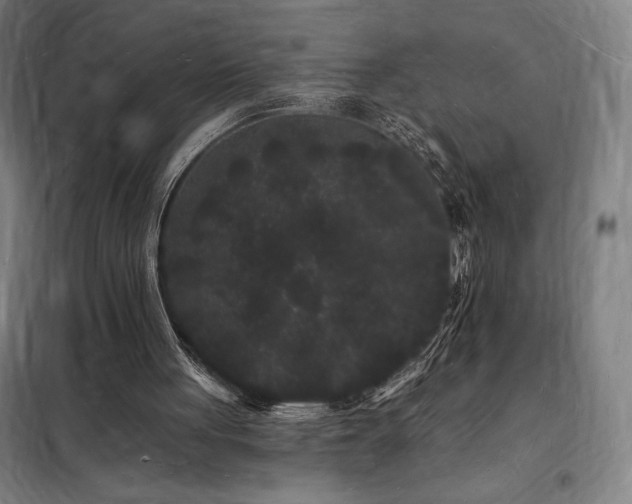 X0000098230051200805011307