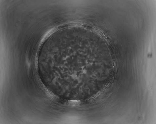 X0000098230053200805011307