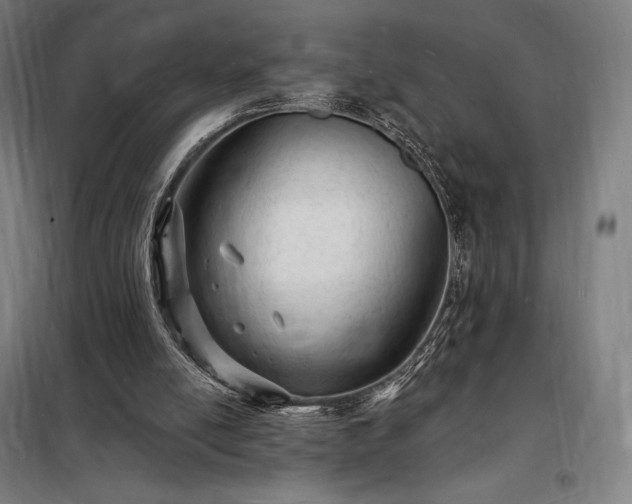X0000098230054200805011307