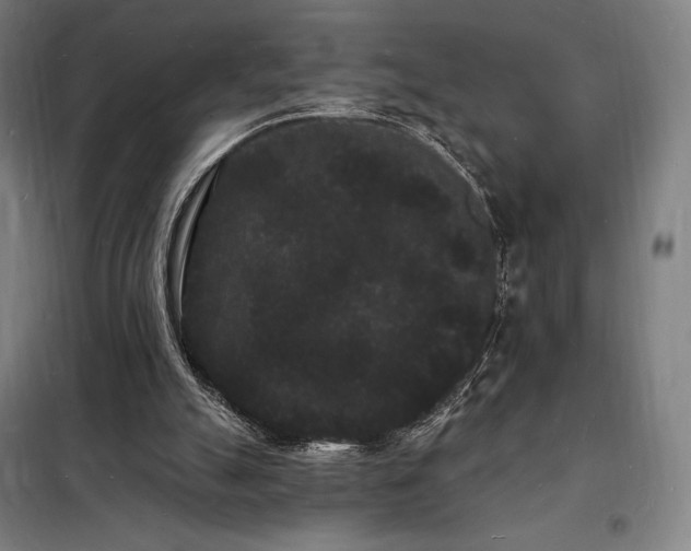 X0000098230055200805011307