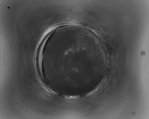 X0000098230056200805011307