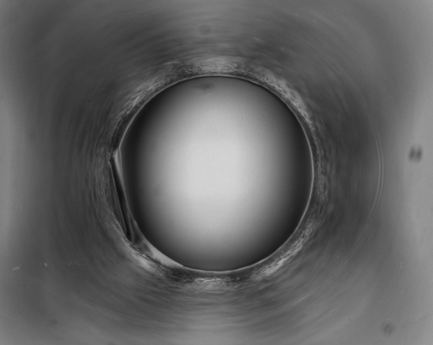 X0000098230057200805011307