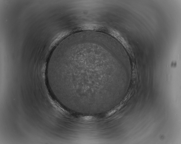 X0000098230058200805011307