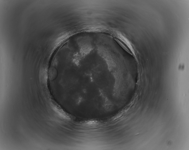 X0000098230059200805011307