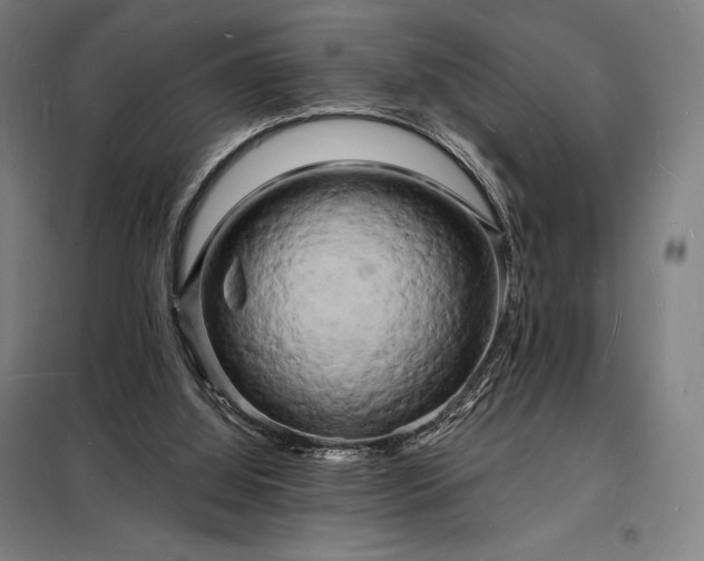 X0000098230060200805011307