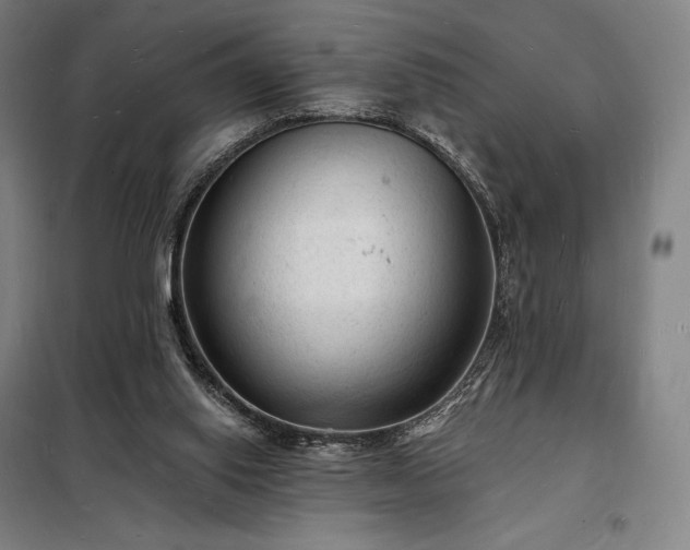 X0000098230062200805011308