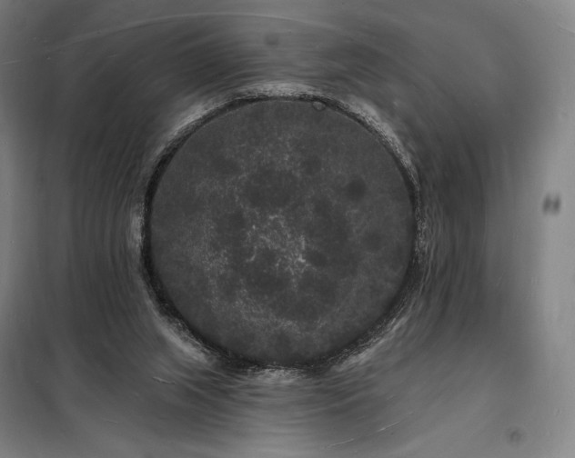 X0000098230063200805011308