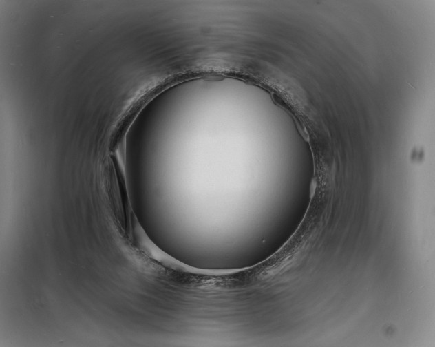 X0000098230064200805011308