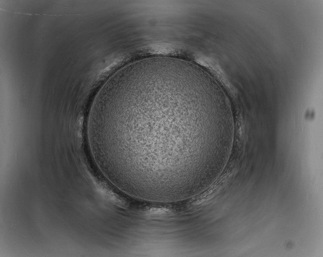 X0000098230066200805011308