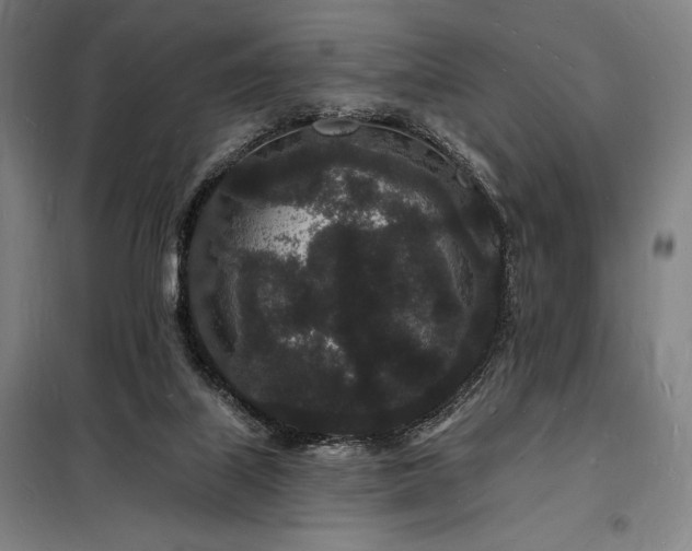 X0000098230067200805011308