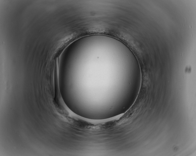 X0000098230068200805011308