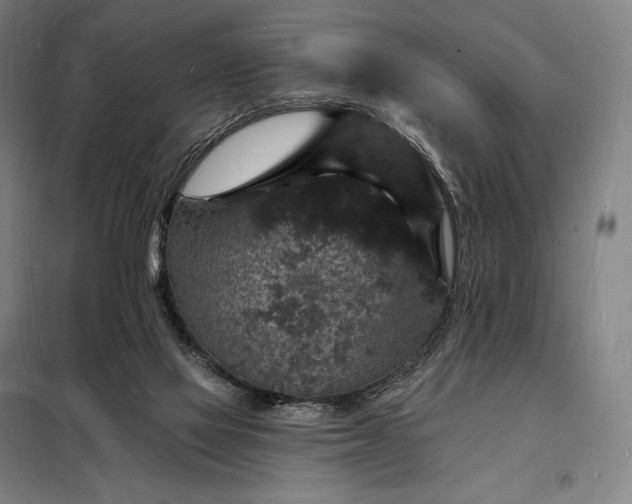 X0000098230069200805011308