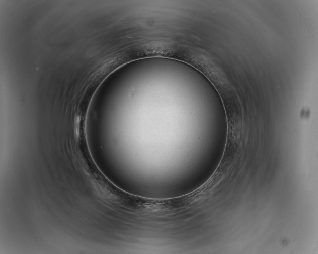 X0000098230070200805011308