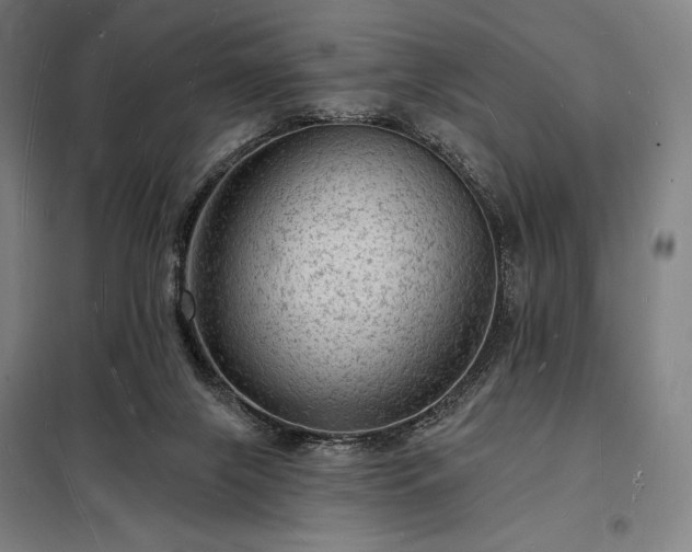 X0000098230071200805011308
