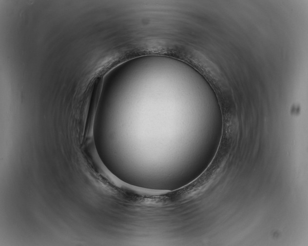 X0000098230072200805011308
